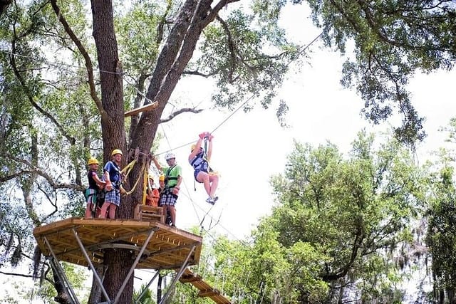 Treetop Express Zip Line Tour with 5 Zip Line Flights & 2 Sky Bridges Included - Photo 1 of 6